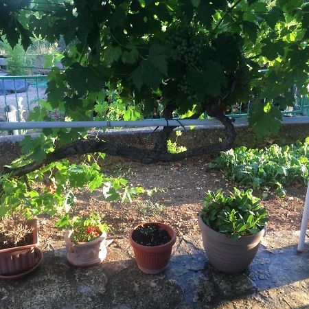 Apartman Anita Διαμέρισμα Konjevrate Εξωτερικό φωτογραφία