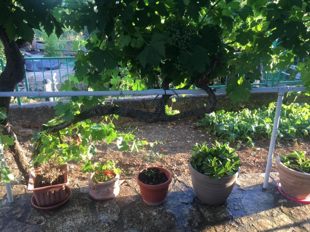 Apartman Anita Διαμέρισμα Konjevrate Εξωτερικό φωτογραφία